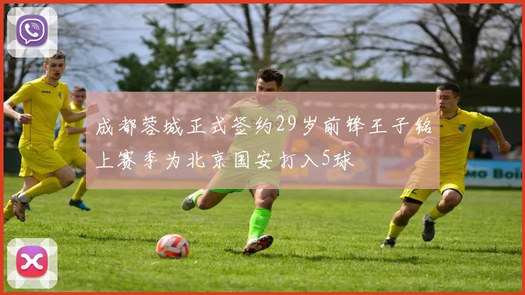 成都蓉城正式签约29岁前锋王子铭上赛季为北京国安打入5球